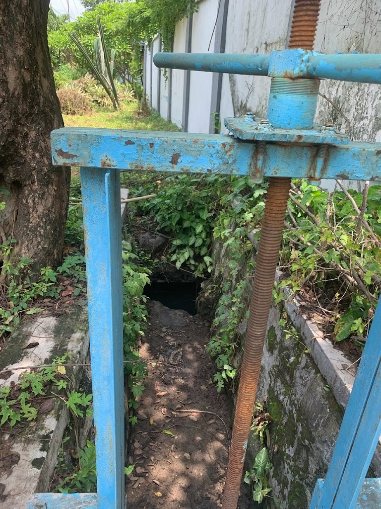pic 6